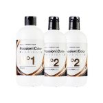 PASSIONEX KIT (Nº 1, Nº 2 Y Nº 2+) 3*500ML.   EXCLUSIVE PROFESIONAL