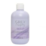 SHAMPOO GREY BY DAY  INEBRYA (GREYLOSOPHY)
