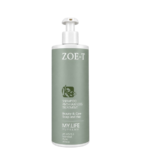 SHAMPOO ANTI-HAIR LOSS TREATMENT    CHAMPÚ  TRATAMIENTO ANTI-CAÍDA  ZOE-T